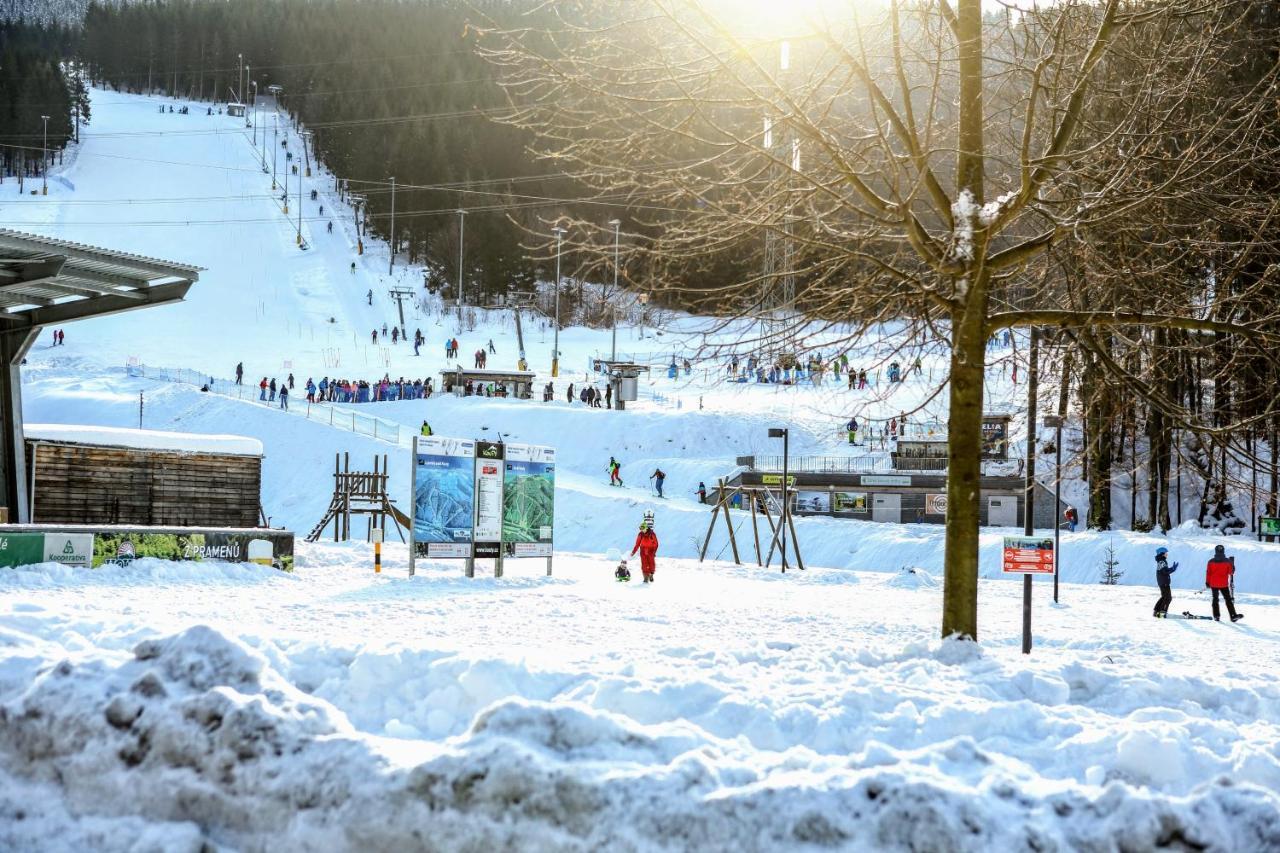 Apartmanovy Dum Pastak Loučná nad Desnou Buitenkant foto