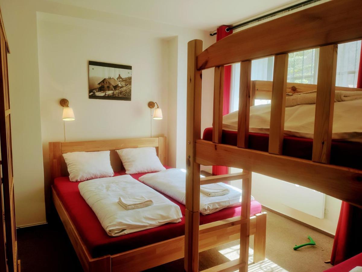 Apartmanovy Dum Pastak Loučná nad Desnou Buitenkant foto