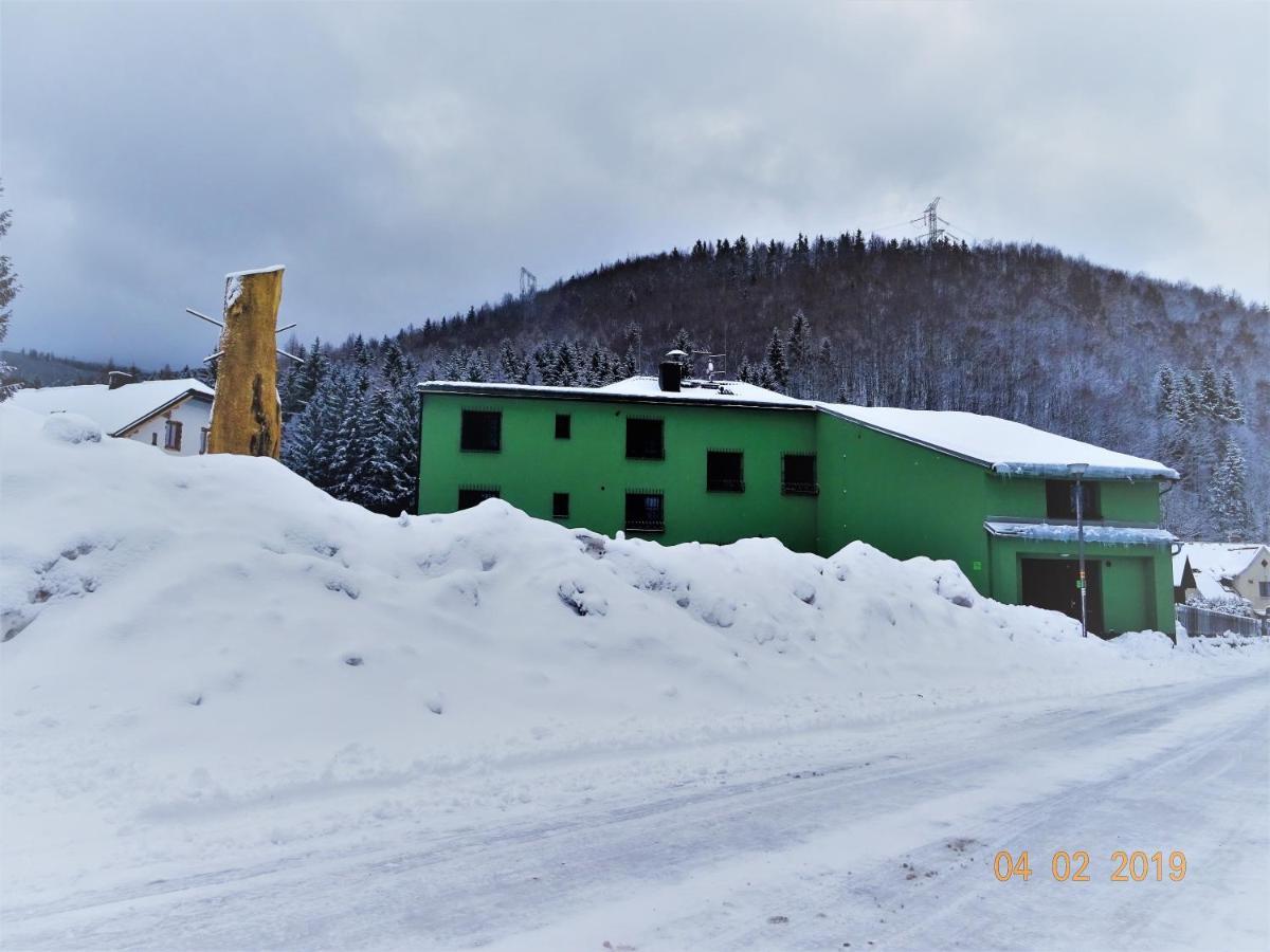 Apartmanovy Dum Pastak Loučná nad Desnou Buitenkant foto